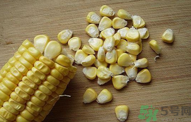 玉米粒可以釣什么魚(yú)？玉米粒釣魚(yú)方法