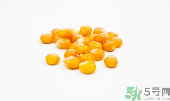 玉米?？梢葬炇裁呆~(yú)？玉米粒釣魚(yú)方法