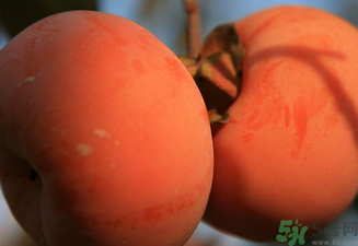 大柿子不能和什么同吃？大柿子和什么食物相克？