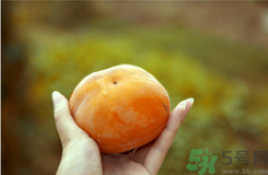 凍柿子和酸奶可以一起吃嗎？?jī)鍪磷雍退崮虝?huì)中毒嗎？