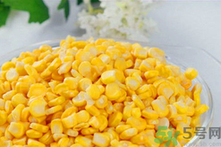 秋天釣魚用什么餌料？秋季釣魚用什么餌料好？