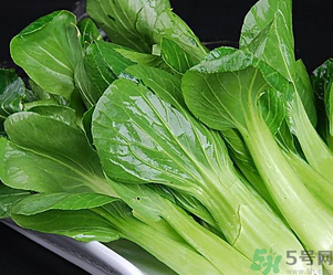 青菜可以放冰箱嗎？青菜能放冰箱保鮮嗎？