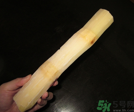 甘蔗可以放冰箱嗎？甘蔗放冰箱能保存多久？