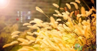 寒露吃什么好？寒露食療