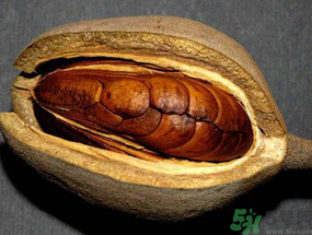 向天果多少錢一斤？向天果價(jià)格