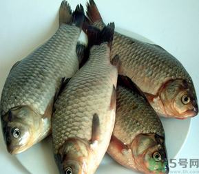 秋天釣鯽魚用什么餌料？秋天釣鯽魚用什么味餌？