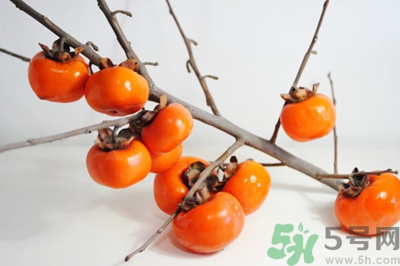 坐月子能吃脆柿子嗎？脯乳期可以吃脆柿子嗎？