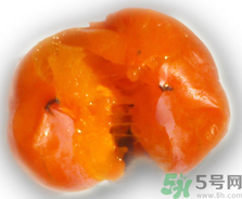 新鮮柿子皮可以吃嗎？吃了柿子皮怎么辦？