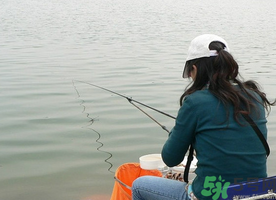 秋天釣鯉魚用什么味型？秋季釣鯉魚餌料味型