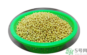 新鮮黃豆怎么保存？新鮮黃豆米如何保存？