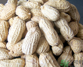 新鮮花生可以放冷凍嗎？新鮮花生可以放冰箱嗎？