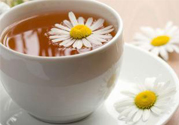 寒露喝什么茶好？寒露喝什么茶最養(yǎng)生？