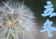 立冬可以釣魚嗎？立冬釣魚注意事項(xiàng)