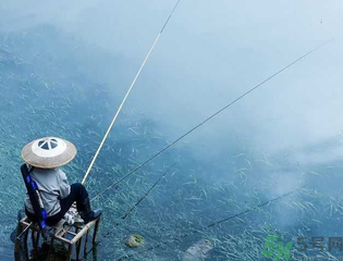 十月份釣什么魚？十月份釣魚技巧