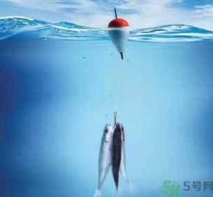 秋天釣魚深水還是淺水？秋天釣魚釣深水還是淺水？
