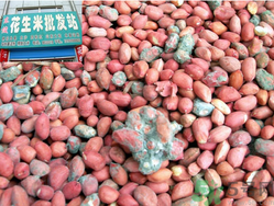花生米發(fā)霉了還能吃嗎？花生米發(fā)霉了怎么辦？