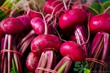吃甜菜有什么好處？吃甜菜對身體好嗎？