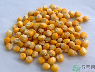玉米用什么泡釣魚好？玉米怎么泡好釣魚？
