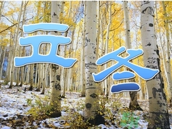 立冬可以栽樹嗎？立冬栽樹樹會死嗎？