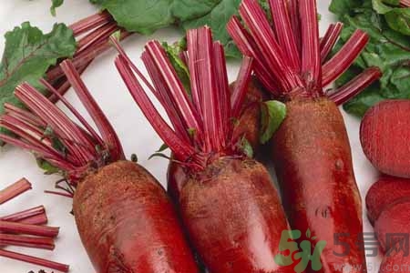 甜菜是甜的嗎？甜菜到底是不是甜的？
