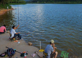 秋天釣魚是什么時(shí)候？秋天釣魚什么時(shí)候最好？