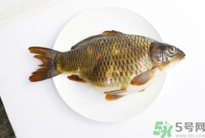 鯉魚死了還能吃嗎？鯉魚死了多久不能吃？