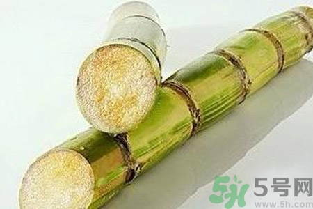血糖高的人能吃甘蔗嗎？血糖偏高可以吃甘蔗嗎？