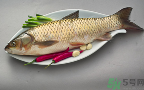 秋天怎么釣草魚(yú)？秋天草魚(yú)好釣嗎？