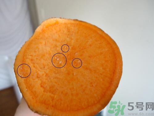 番薯發(fā)芽還能吃嗎？山芋發(fā)芽還能吃嗎？