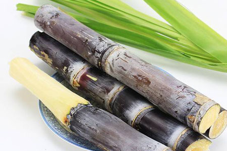 甘蔗汁一天喝多少最好？甘蔗汁能每天都喝嗎？