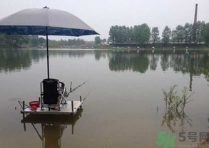 水庫釣魚用什么餌料？水庫釣魚用什么商品餌？