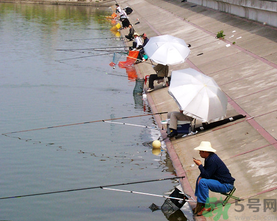 水庫釣魚用什么餌料？水庫釣魚用什么商品餌？