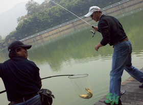 秋季釣黑魚用什么魚餌？秋天釣黑魚用什么餌？