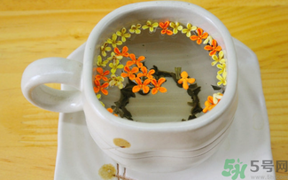 剛摘的桂花可以泡茶嗎？剛摘的桂花能泡茶嗎？