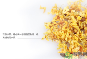 新鮮桂花可以泡水喝嗎？新鮮桂花泡水喝有什么好處？