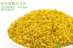 剛摘的桂花有蟲怎么辦？干桂花長蟲怎么辦？