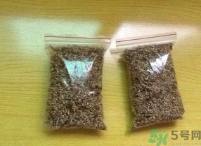 桂花怎么曬干？桂花曬好后可以做什么？