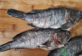 黑魚怎么洗掉身上的粘液？黑魚怎么洗才干凈？