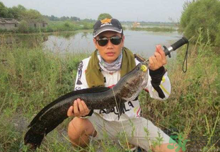 路亞釣黑魚用什么假餌？路亞釣黑魚用什么餌？