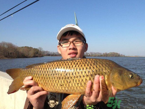 夜釣鯉魚用什么餌料？秋天夜釣鯉魚用什么餌料？