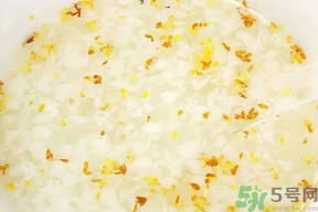 新鮮桂花可以煮粥嗎？桂花可以煮粥嗎？