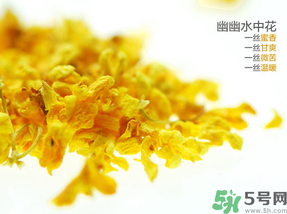 桂花可以泡水喝嗎？桂花怎么泡水？