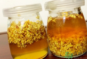 干桂花可以做桂花蜜嗎？干桂花怎么做桂花蜜？
