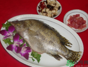 桂魚怎么保存？桂魚放冰箱怎么保存？