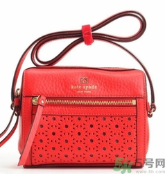 kate spade和coach哪個好？凱特絲蓓好還是蔻馳好？