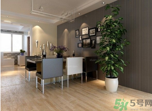 桂花樹可以種在室內(nèi)嗎？桂花樹適合在室內(nèi)嗎？