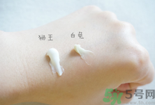 白兔祛痘膏和獅王哪個好？白兔牌暗瘡膏哪款好？