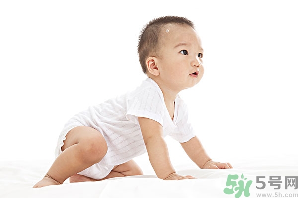 吃南瓜子可以打蟲嗎,南瓜子能打蛔蟲嗎？