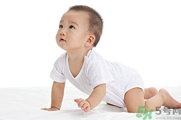 吃南瓜子可以打蟲嗎,南瓜子能打蛔蟲嗎？