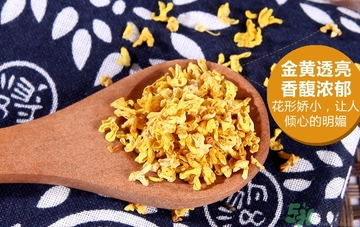 喝桂花茶會(huì)上火嗎？喝桂花茶上火怎么辦？